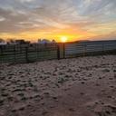 Tyler Grimes on AGvisorPRO