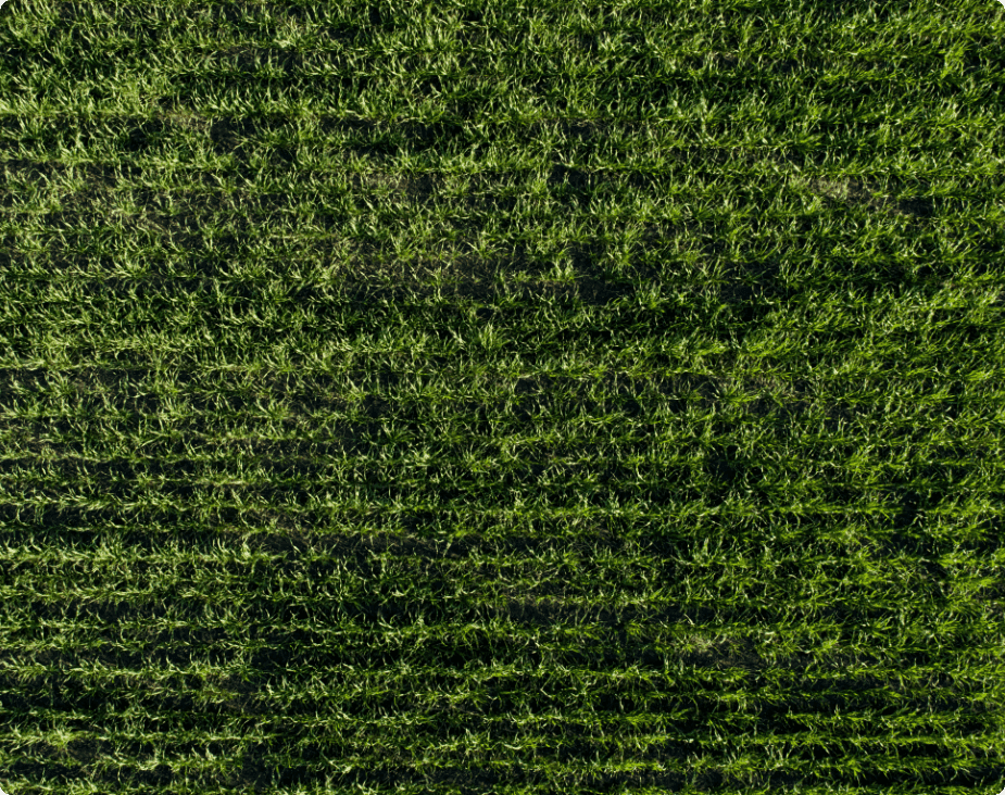 AGvisorPRO Question Image in Field Crops, Row Crops,Organic Production,+ 4